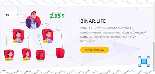 Информация о сервисе «BINARLIFE»