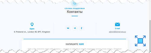 Контактные данные, размещённые на инвестиционной платформе «Bitnerves»