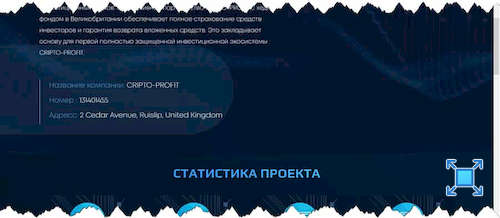 Указанная информация о компании, создавшей сервис «Cripto-profit»