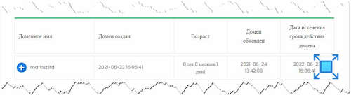 Выясняем сколько существует сайт инвестиционного сервиса «Markuz»