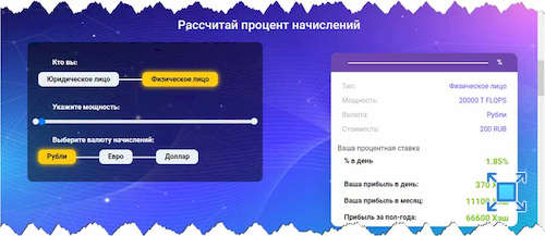 Калькулятор доходности на сервисе «Money Miner»