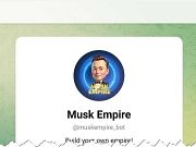 Musk Empire – заработок или мошенничество, выясняем, отзывы