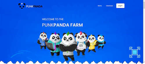 Страница с информацией о PunkPanda Farm