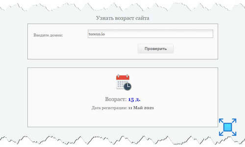 Выясняем, сколько существует сайт платформы «Торексо»
