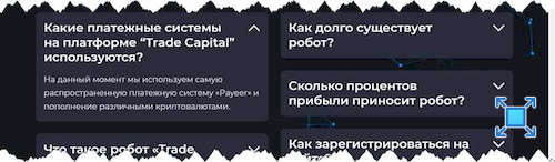 С используемыми платёжными системами у «Trade Capital» всё обстоит так